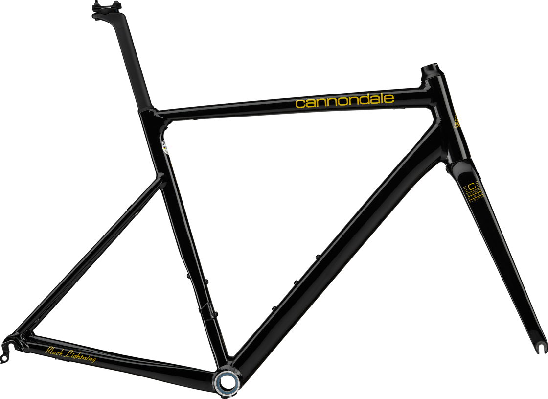 CAAD13 Frameset Japan Anniversary Edition Detail Image