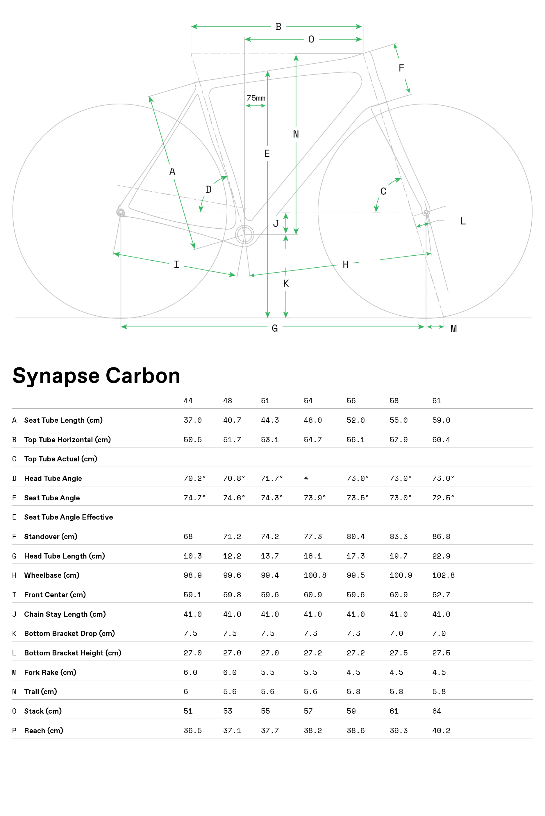 synapse carbon geo table