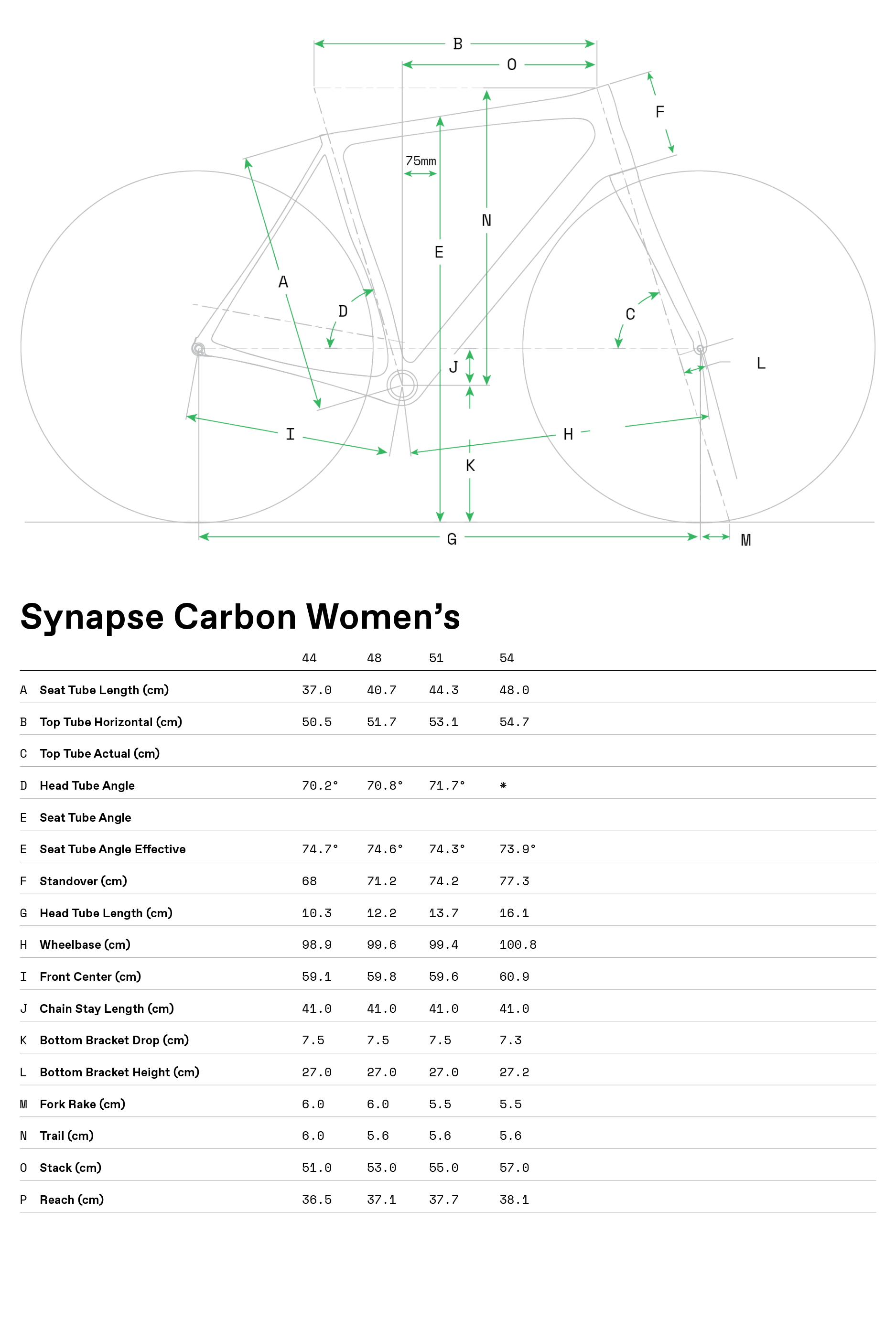 cannondale synapse women's geometry