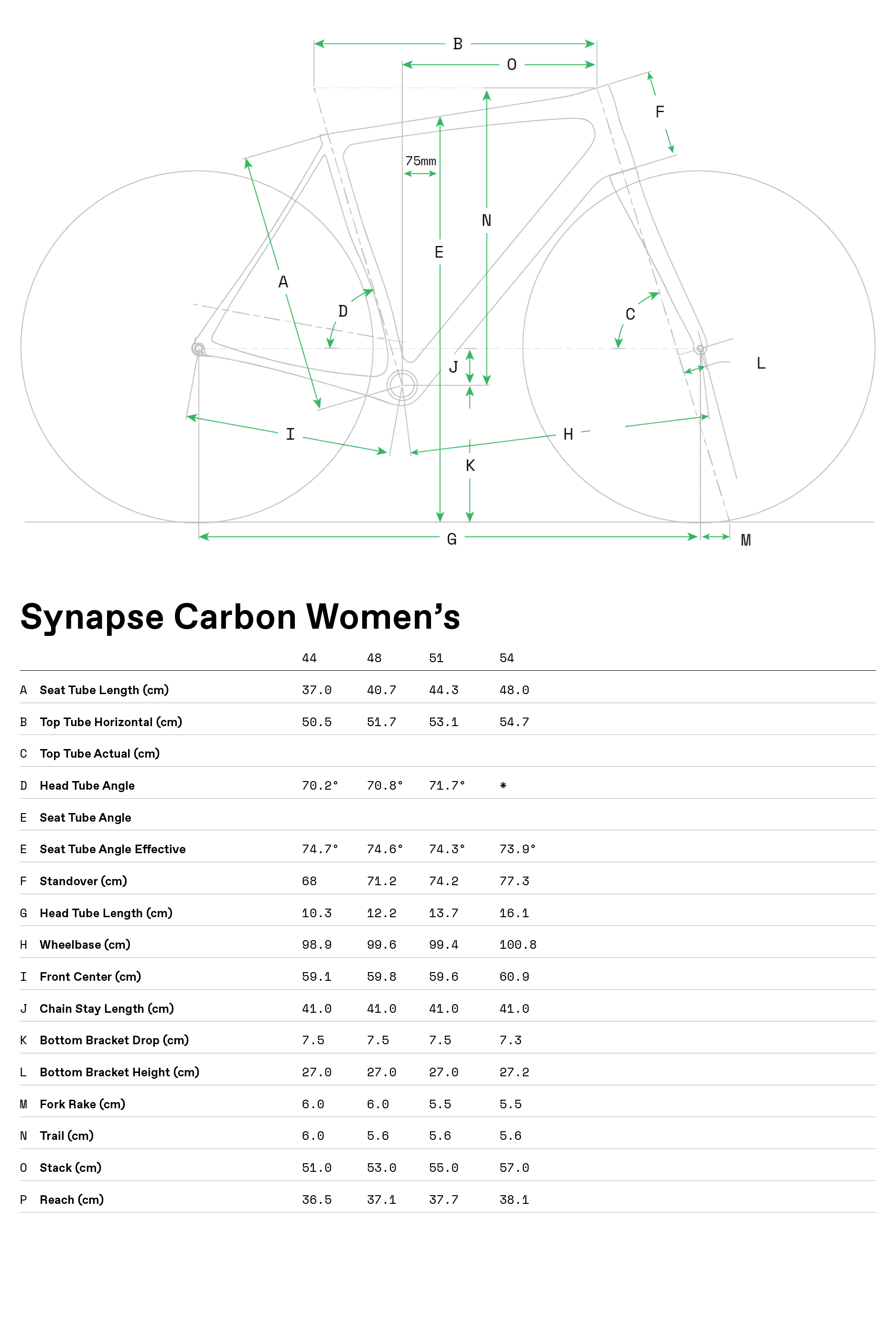 synapse carbon ws geo table