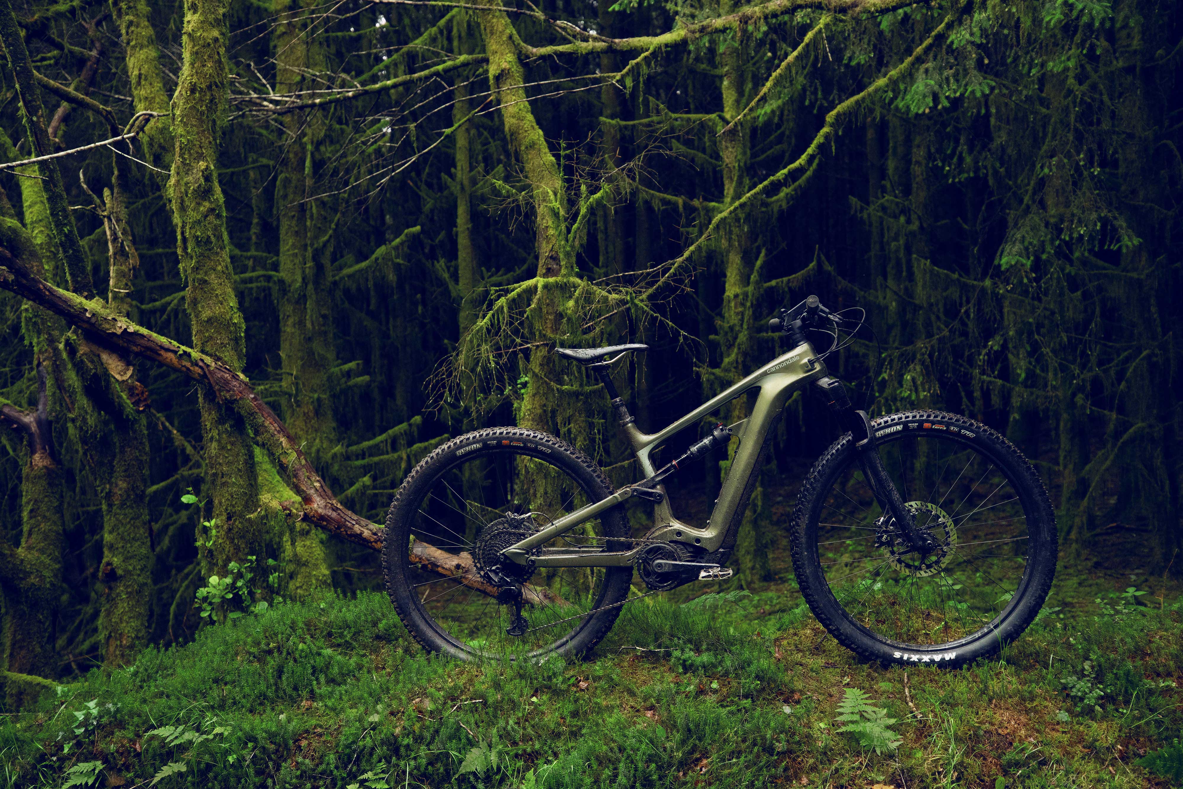 cannondale habit electric bike in a forest