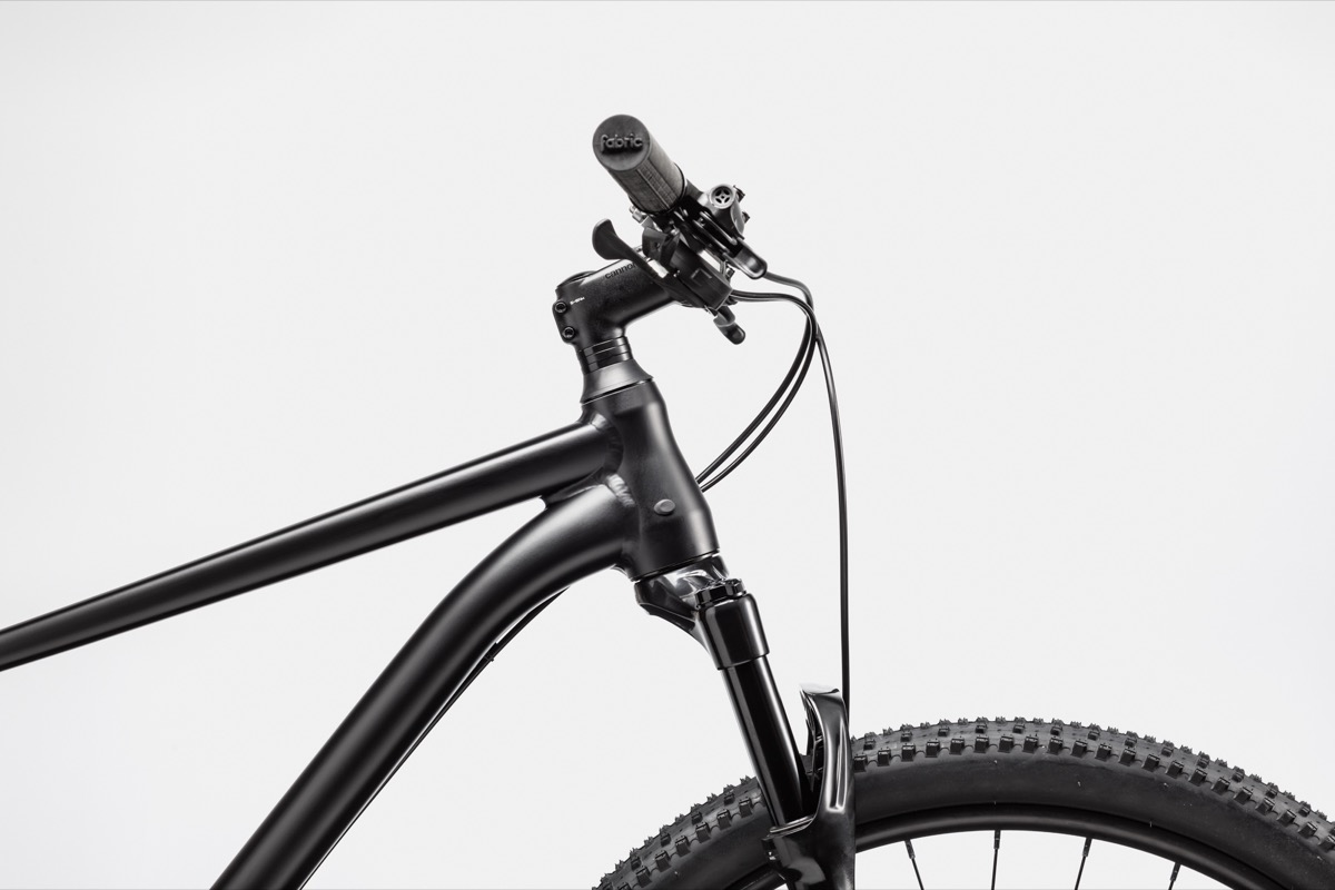 cannondale trail 20 review