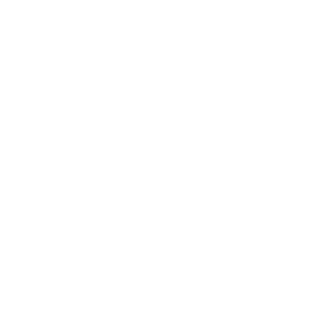 osm speed icon 20mph