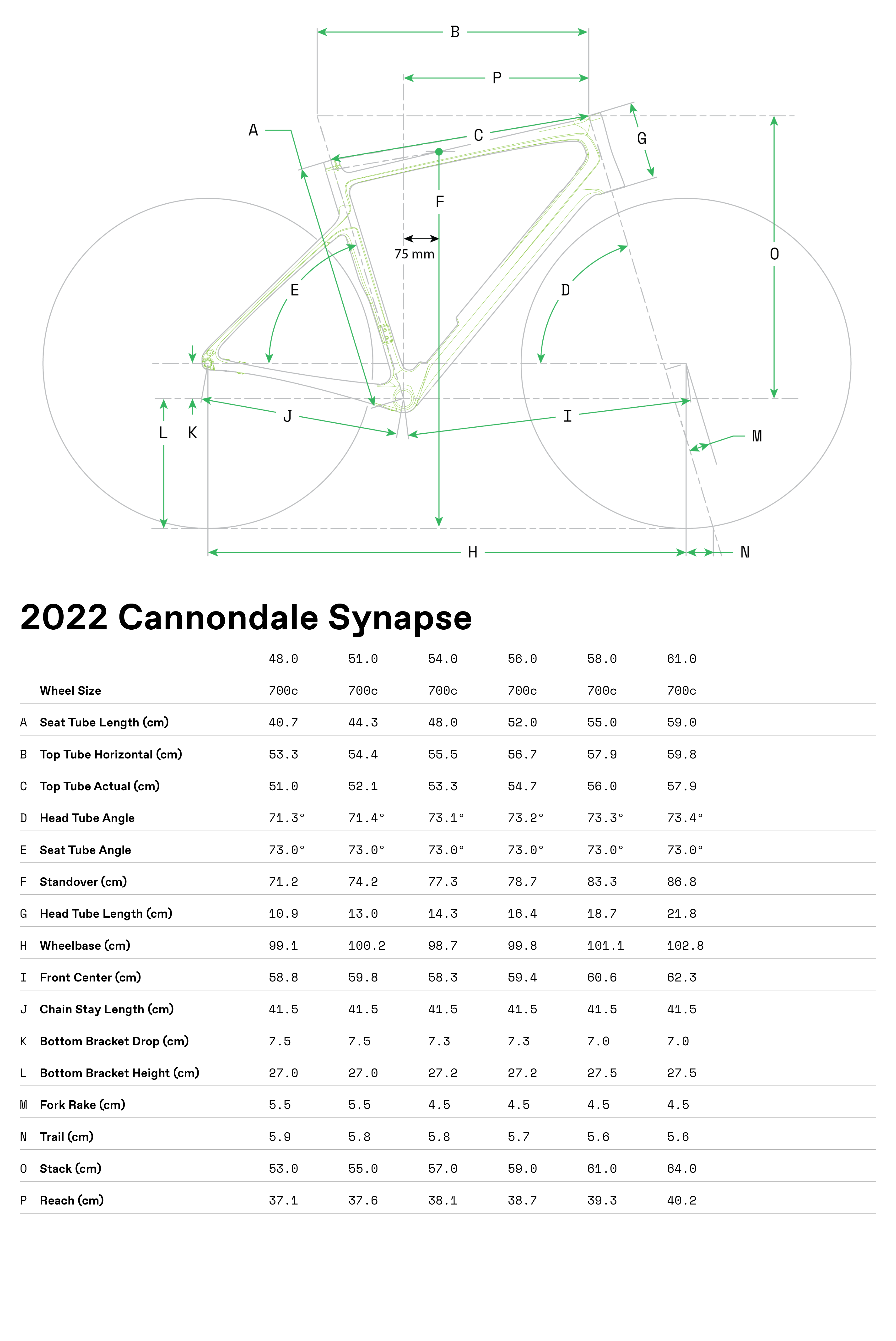 cannondale Synapse Carbon geometry