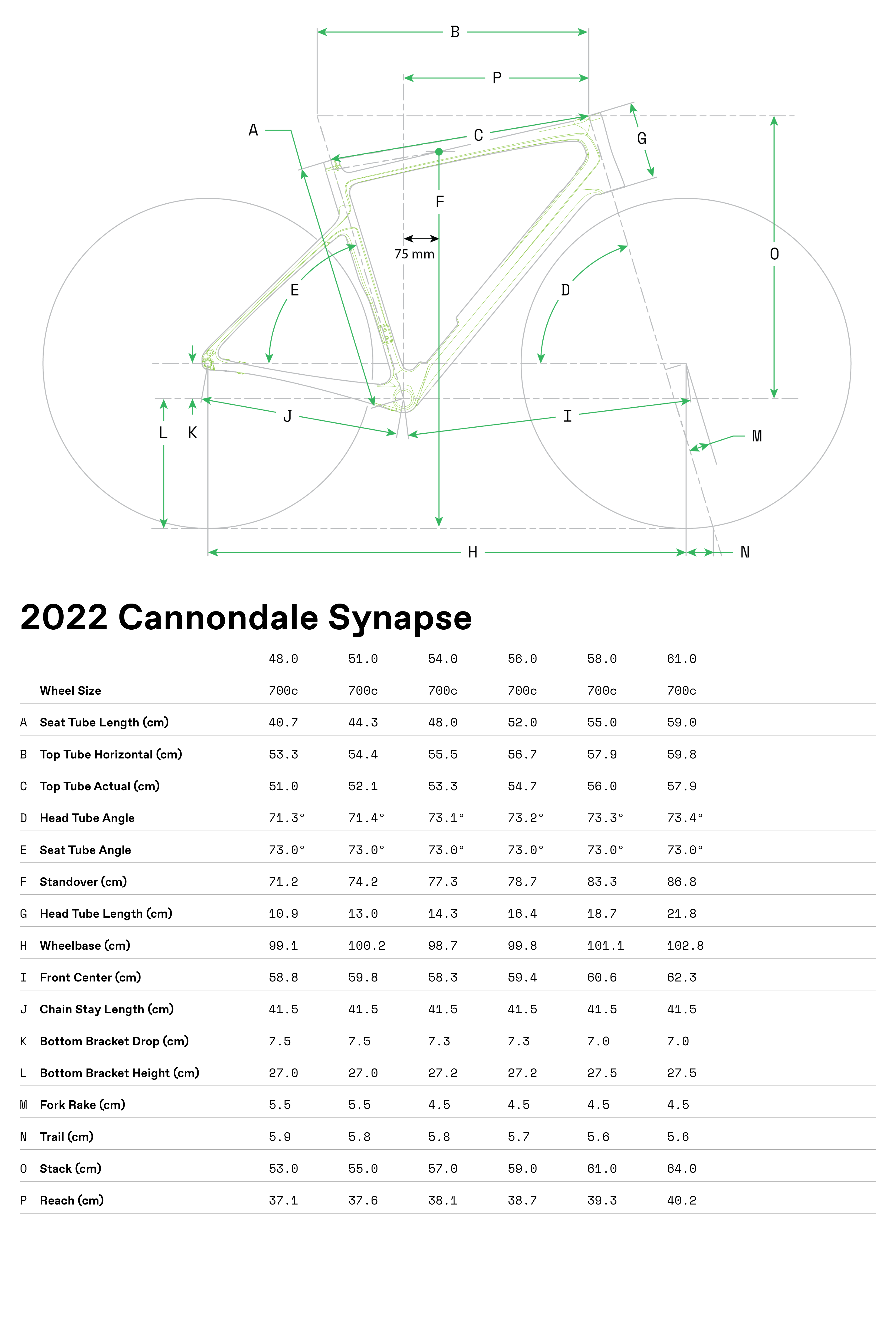 c22_synapse_geotable.ashx?h=5610&iar=0&w