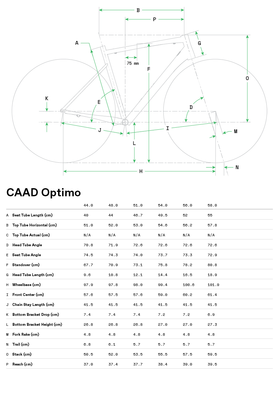 CAAD Optimo MY21 Geo Table