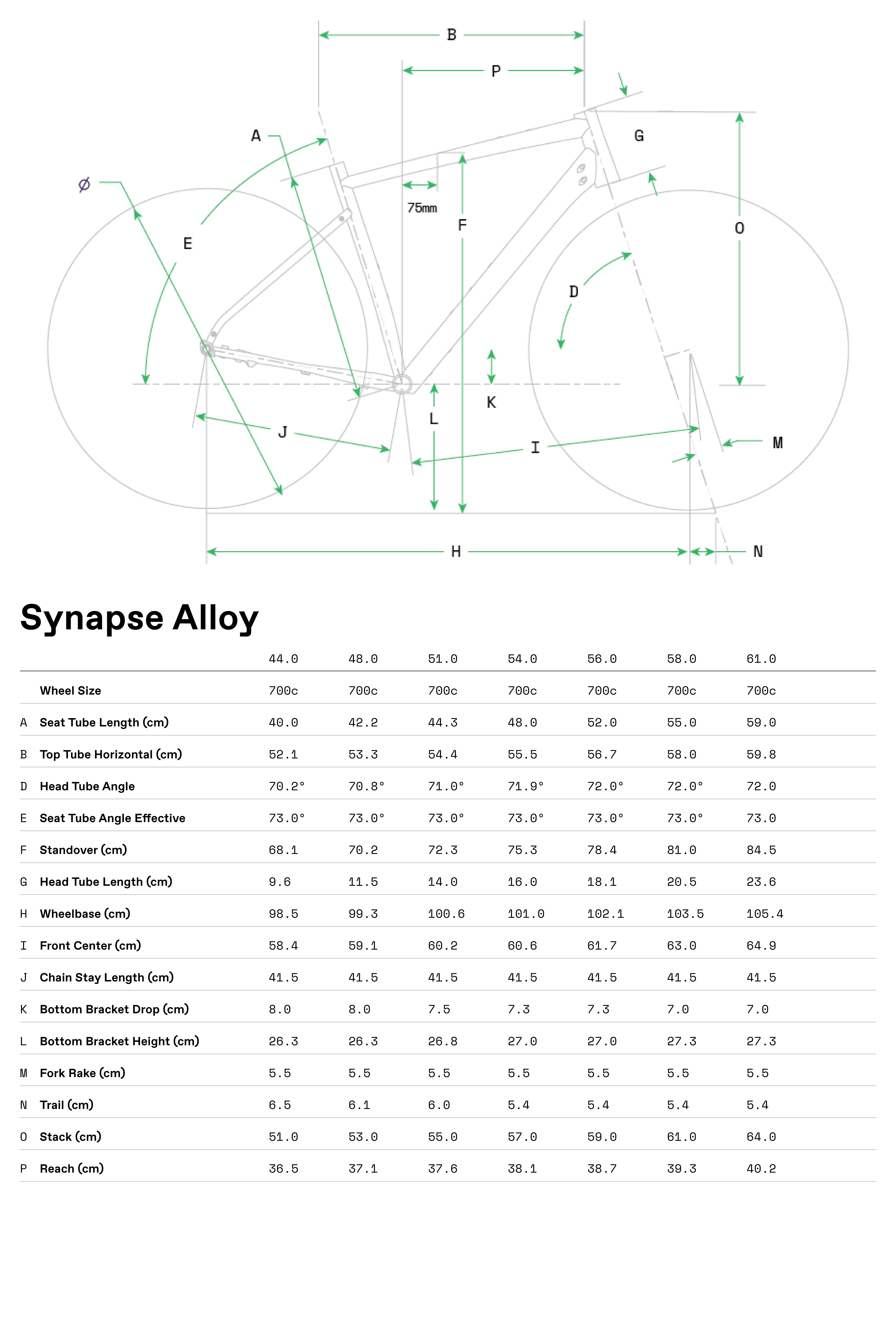 Cannondale Synapse Alloy geometry
