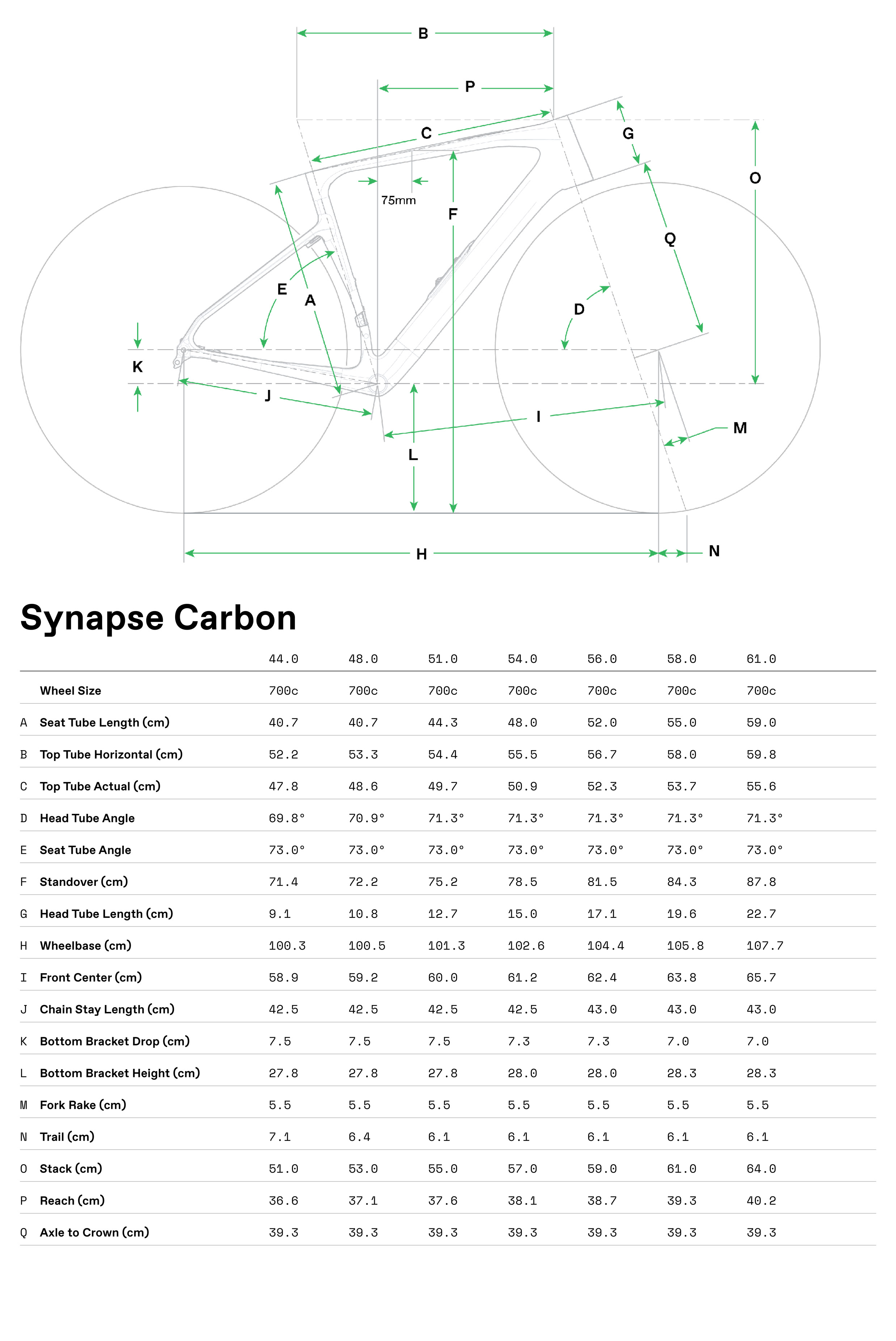cannondale Synapse Carbon geometry